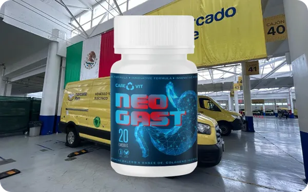 NeoGast información sobre Mercado Libre México